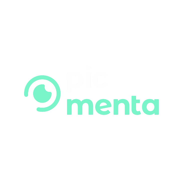 Picmenta Studio